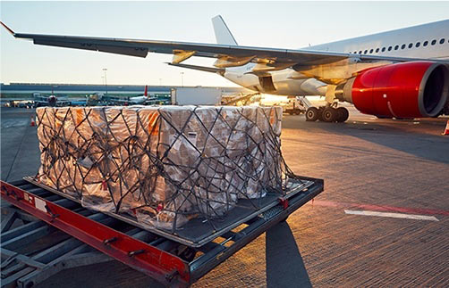 Innovative Healthcare and Medical Logistics Solutions - Air Cargo Courier